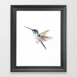 Flying Little Hummingbird Framed Art Print