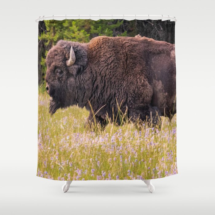 Wildlife Photography Buffalo Yellowstone National Park Wyoming Nature Shower Curtain