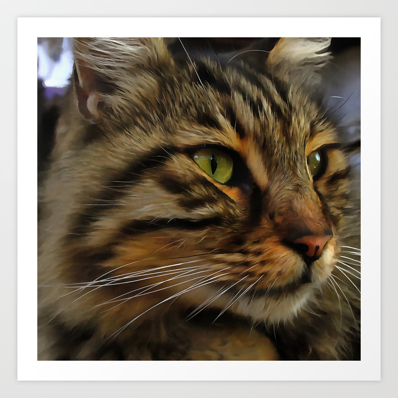 Aslan The Long Haired Tabby Cat Art Print By Taiche Society6