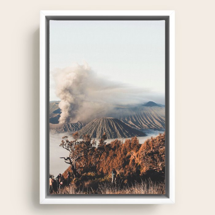 Framed Canvas