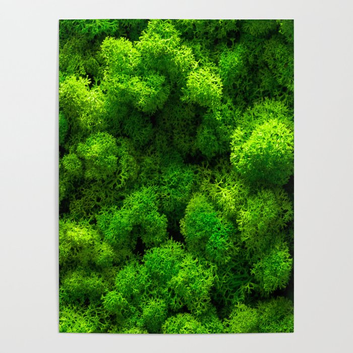 Green Moss - Interior Design Poster
