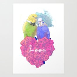 Budgies Valentines with pink roses Art Print
