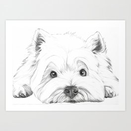 West Highland White Terrier, Westie Portrait, Cute dog Art Print