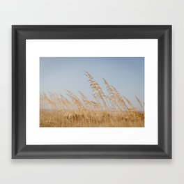 Golden Dune Grass Framed Art Print
