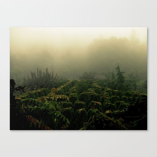 Folk Canvas Print
