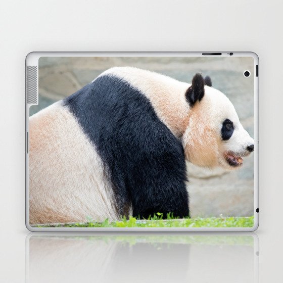 walking panda Laptop & iPad Skin