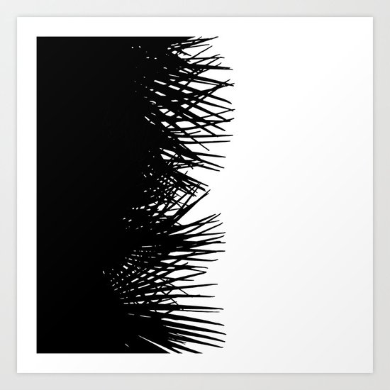 Side Fringe Art Print