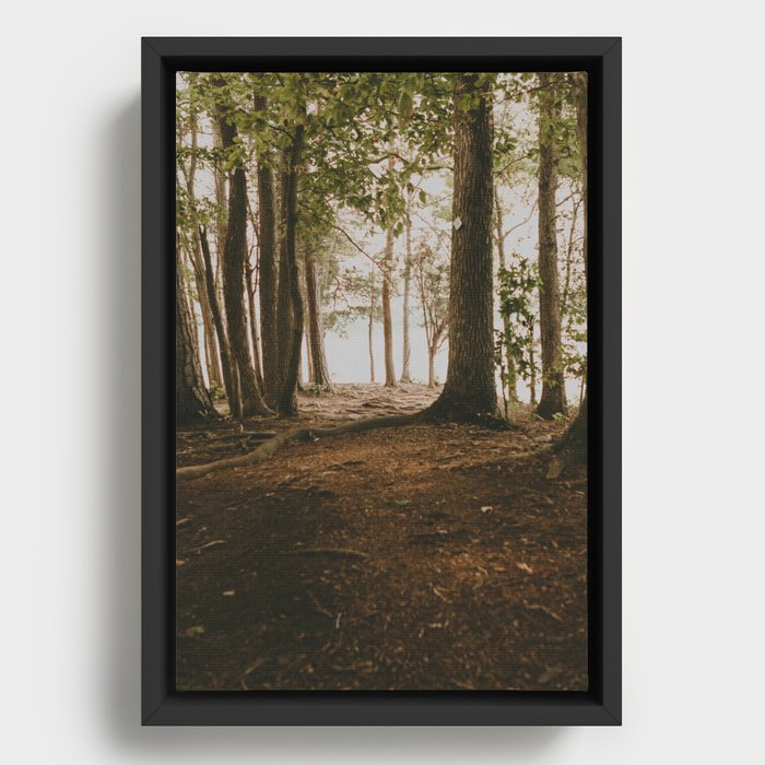 Into the Woods in Summertime Framed Canvas