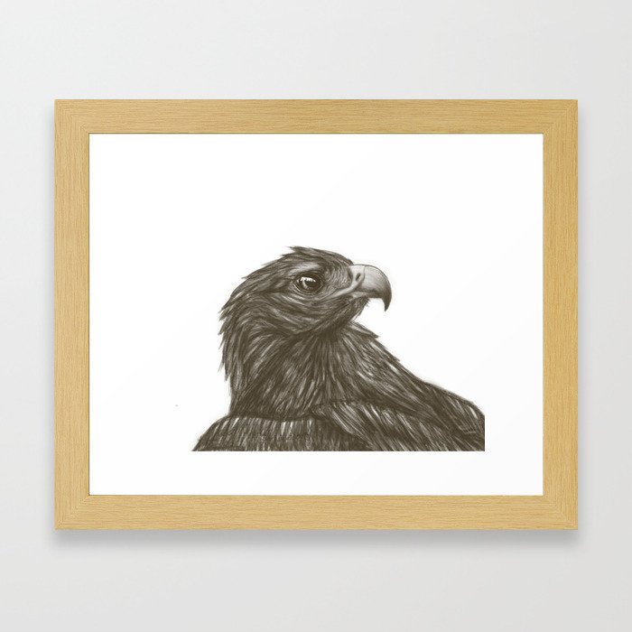 Bird Of Prey Framed Art Print