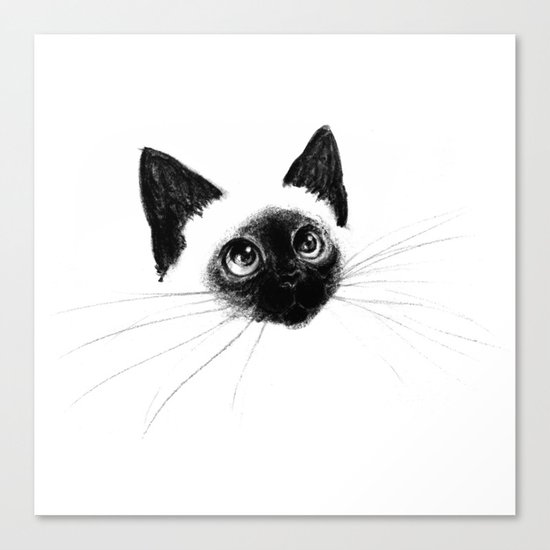 Curious Siamese Kitten Canvas Print