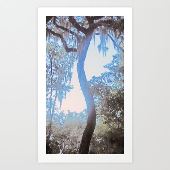 S is for Tree Art Print