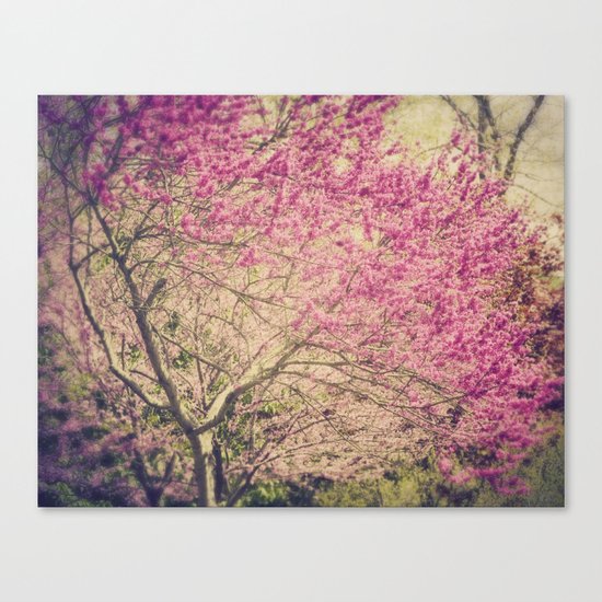 Magenta Canvas Print