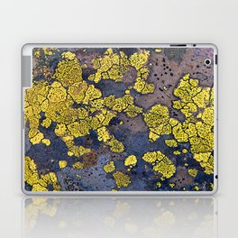 Lichen Abstract Laptop & iPad Skin