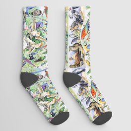 Adolphe Millot "Birds" 2. Socks