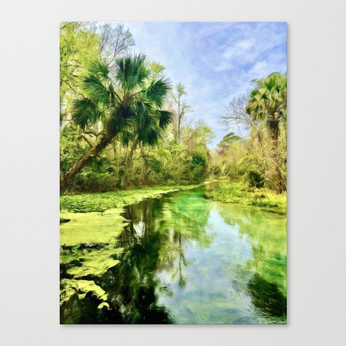 Blue Green Springs and Palm Trees Canvas Print