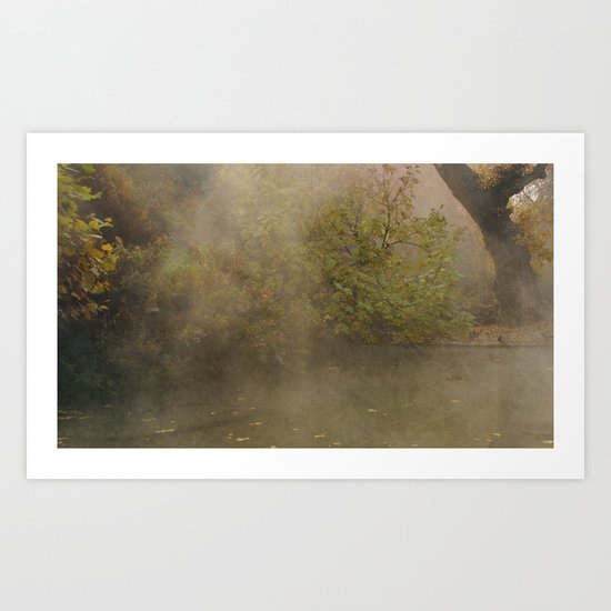 morning fog Art Print