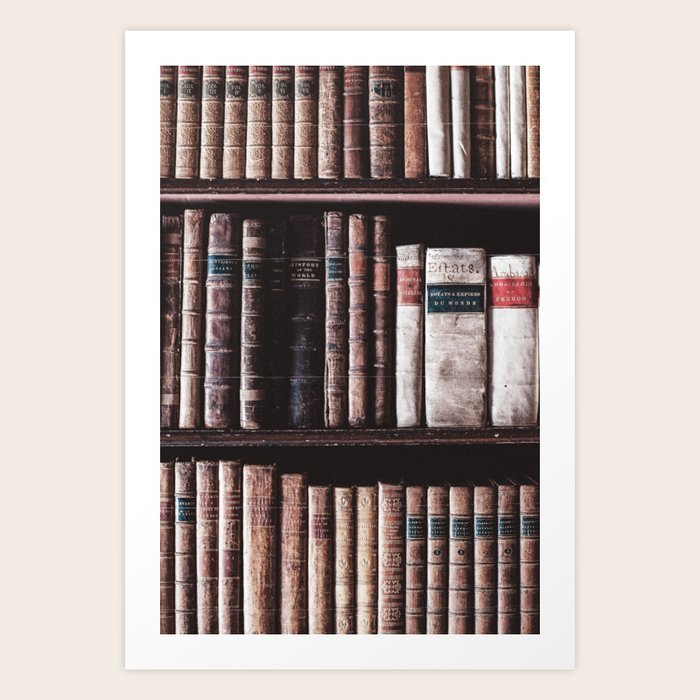 Light Academia Aesthetic bookshelf Art Print by Pictandra Society6