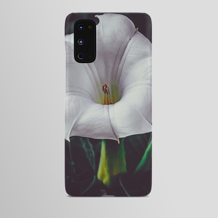 Devil's Trumpet, Datura Flower Photograph III Android Case