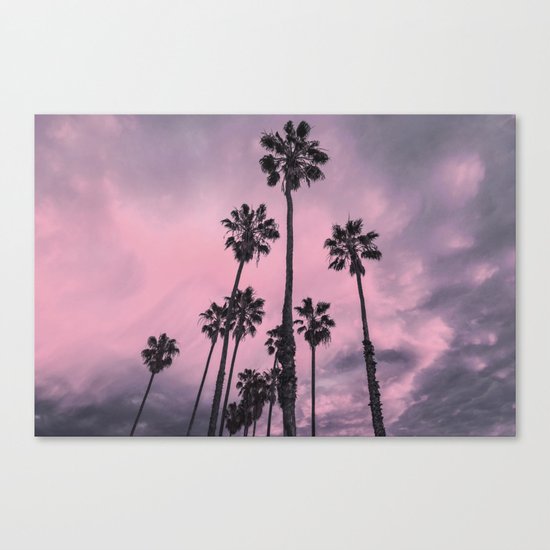 Palm Trees Canvas Print