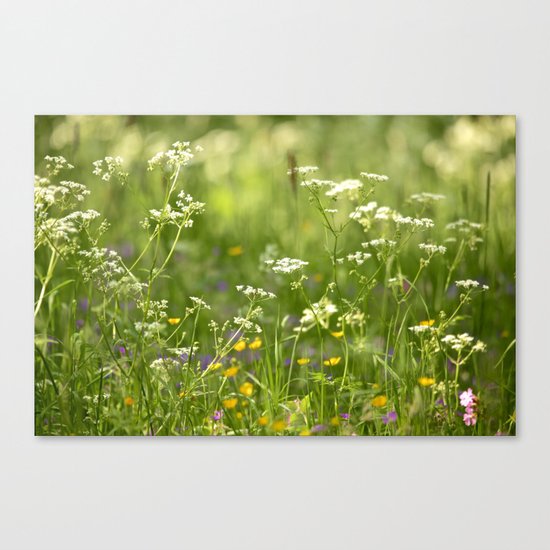 Green Summer Meadow Canvas Print