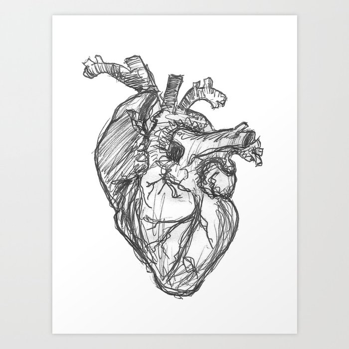 Anatomical Heart Ink Sketch Art Print By Midmod Society6 Vintage anatomical heart drawing at getdrawings | free. anatomical heart ink sketch art print by midmod
