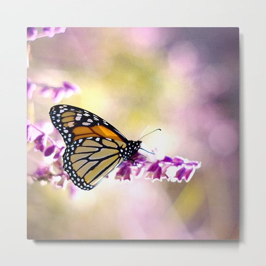 Monarch Softness Metal Print