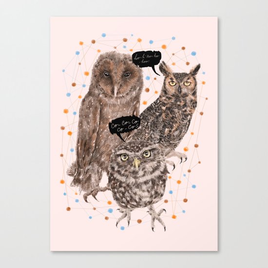 h'Hoo-hoo Canvas Print