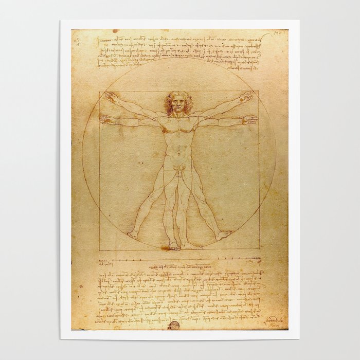 The Vitruvian Man 1405 (L Uomo Vitruviano) Leonardo da Vinci Artwork for Prints Posters Tshirts Men Poster