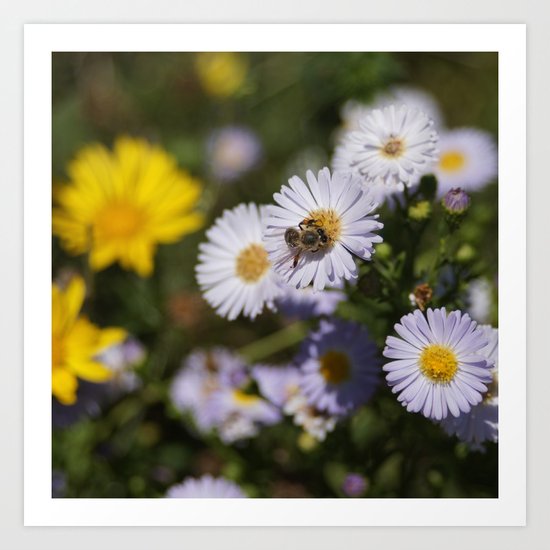 Looking for honey for you Art Print