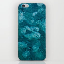 A Swarm of Jellyfish II - Resurrection Bay, Alaska iPhone Skin