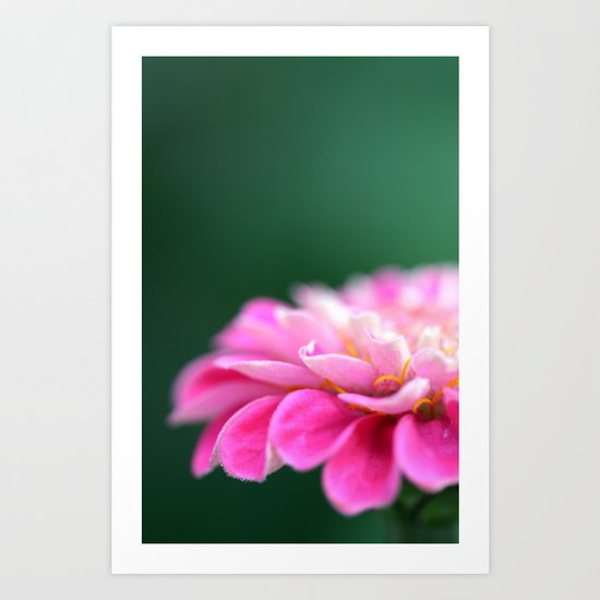 pink macro flower Art Print