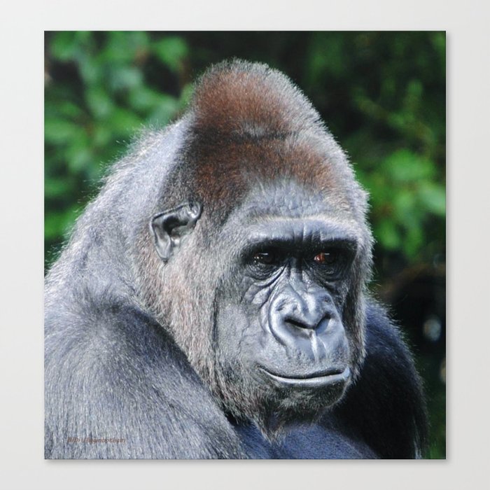 A Beautiful Strong Face Canvas Print