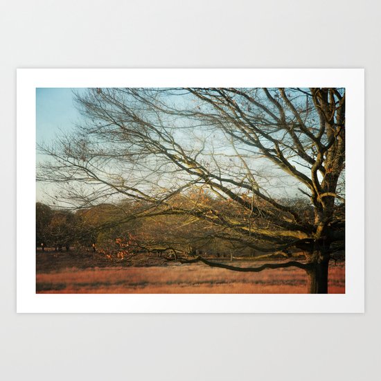 Branches Art Print