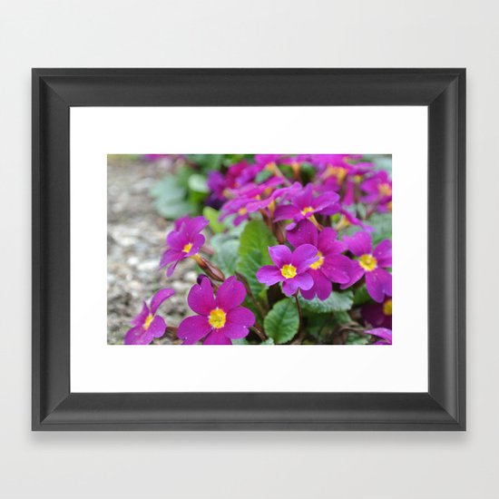 Along the Path Framed Art Print