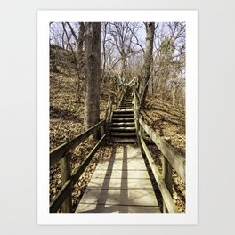 stairs in the woods Art Print