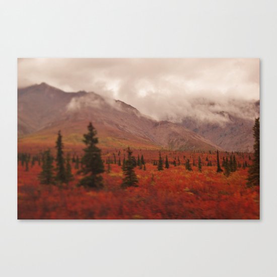 Smoky Mountains in the Fall Canvas Print