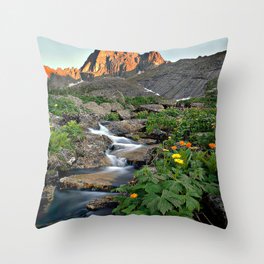 nature Throw Pillow