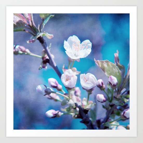 CHERRY BLOSSOMS Art Print