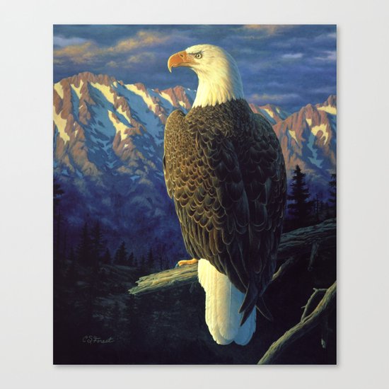 North American Bald Eagle Canvas Print