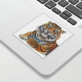 Too Early Tiger Sticker