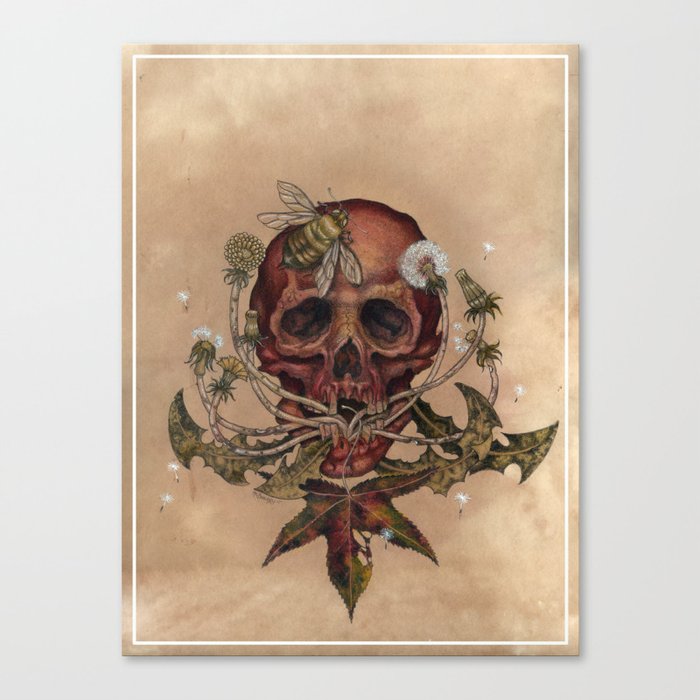 Skull with Bee Canvas Print