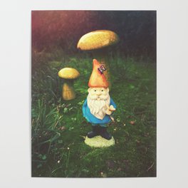 Mr. Gnome Poster