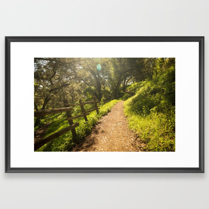 Forest Path Framed Art Print