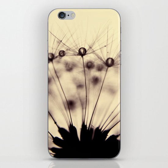 dandelion - droplets of mocha iPhone & iPod Skin