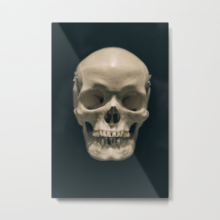 Museum Skull Metal Print