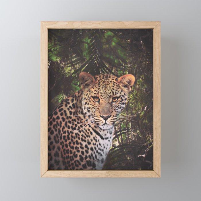 Leopard in the rain forest Framed Mini Art Print