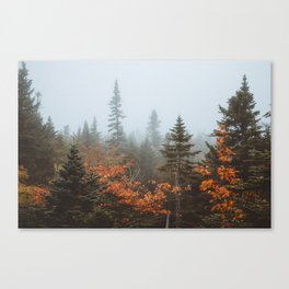 White Mountains National Forest Fall Fog Canvas Print