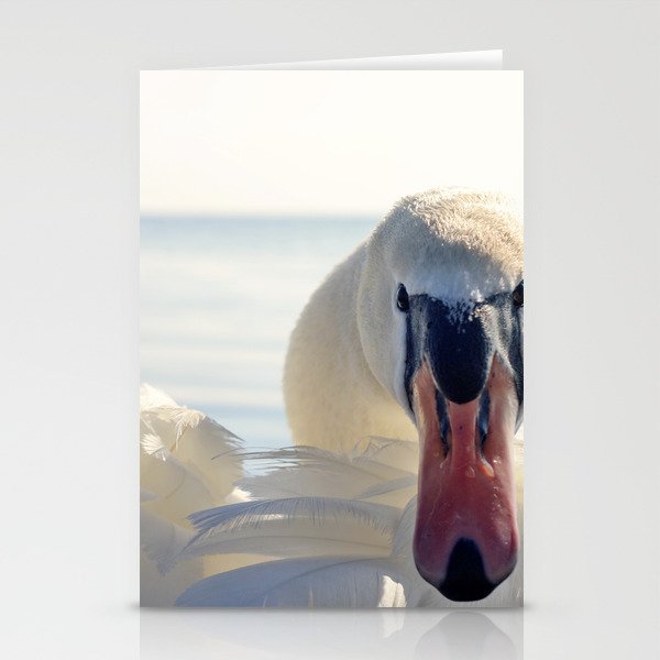 Swan Stationery Cards