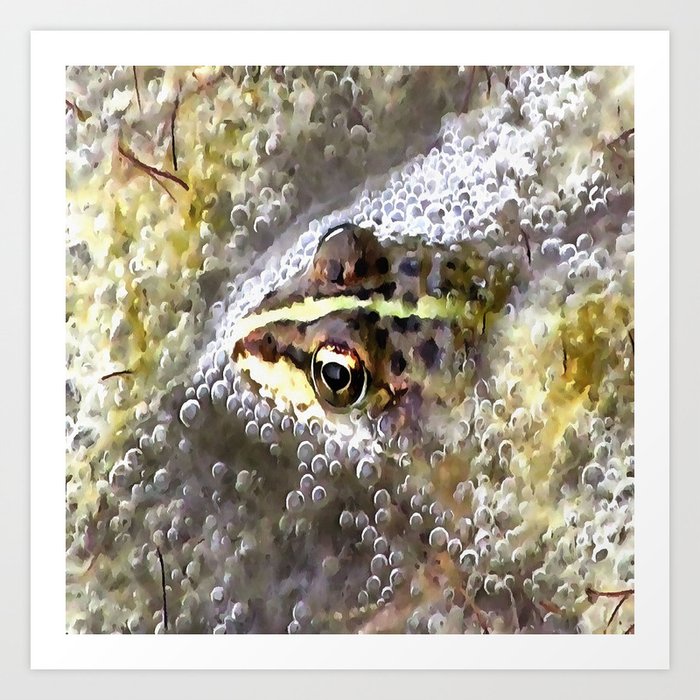 Frog that blows bubbles 2025