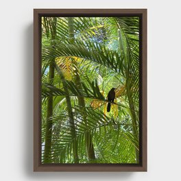 Tropical Bird Framed Canvas